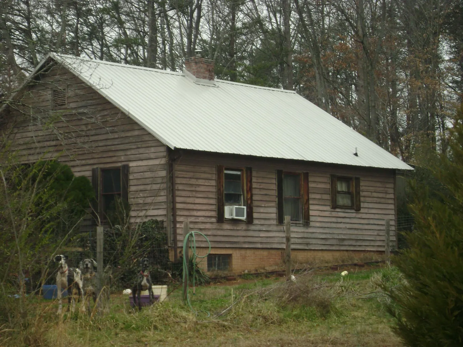 White metal roof on an old wood sided farmhouse, from a Metal Roof Installation job in Steinhatchee